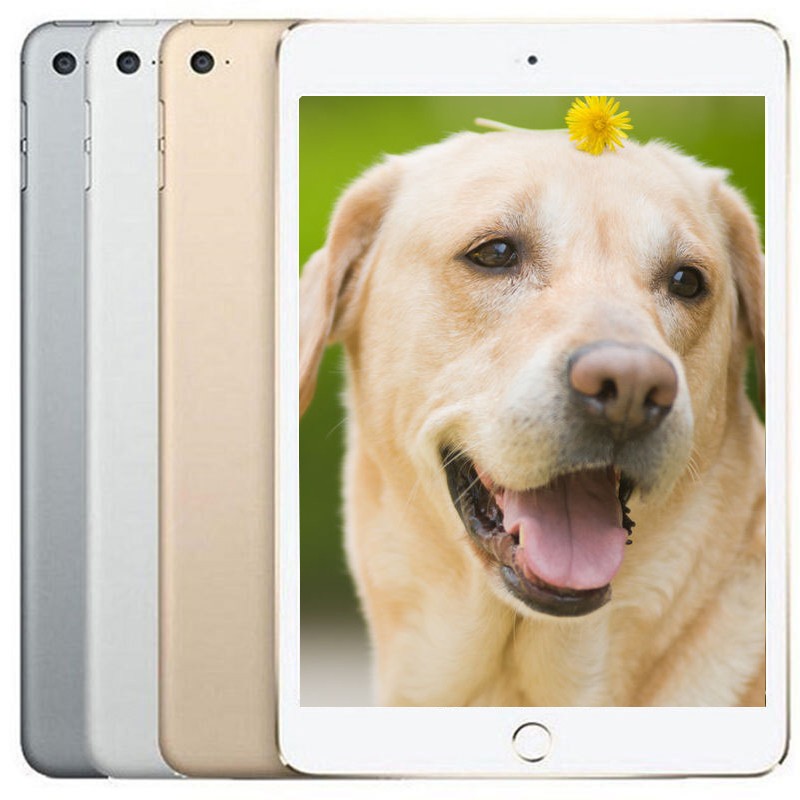 【二手9成新】Apple苹果 iPad Mini4/5 迷你4/5 国行7.9英寸游戏影音平板电脑 mini4 128G 插卡4G版