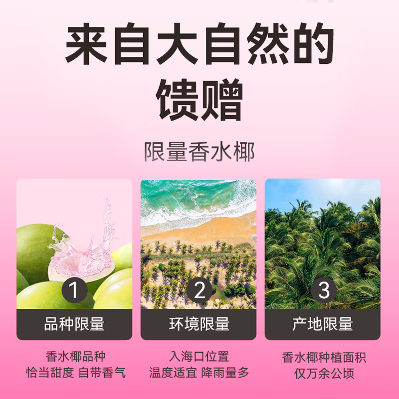 酷可椰100%粉红椰子水NFC非浓缩还原0添加色素电解质水补水聚餐团建饮品 【20袋装】100%粉红椰子水180ml/袋