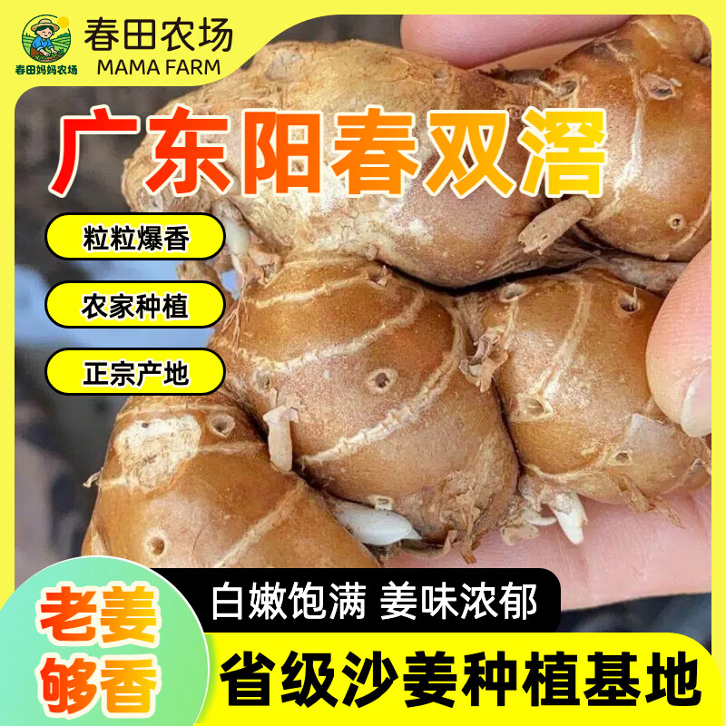 【沙姜之乡】广东特产正宗阳春双滘新鲜沙姜调味提鲜增香双窖山奈 广东省级沙姜种植基地甄选 【1斤尝鲜装】姜味浓郁，来自深山老林