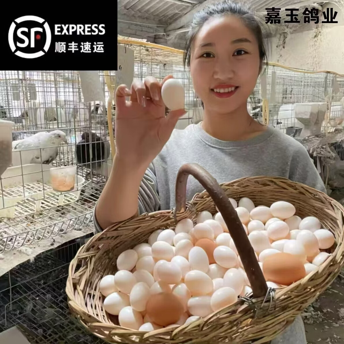 正宗农家散养新鲜鸽子蛋现捡现发孕妇宝宝辅食农家谷饲鸽子蛋 30枚新鲜鸽蛋（15-17克） 京东折扣/优惠券