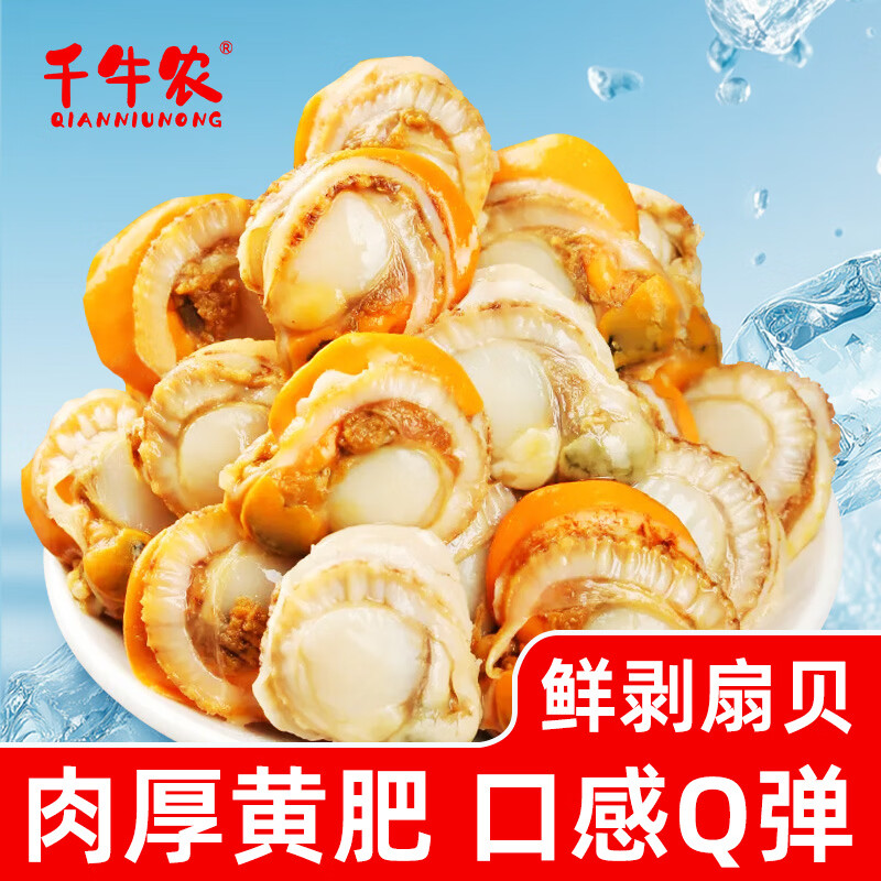 千牛农鲜剥冷冻带黄扇贝肉净重2斤 干净无沙 海鲜贝类源头直发