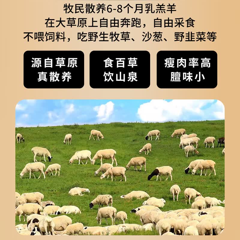 凘梦沅内蒙古羊小腿切块原切羊腱子切段清真羔羊腿肉骨棒烧烤生鲜冷冻  无汤羊杂净重【4斤】（千人购买） 清真苏尼特乳羔羊