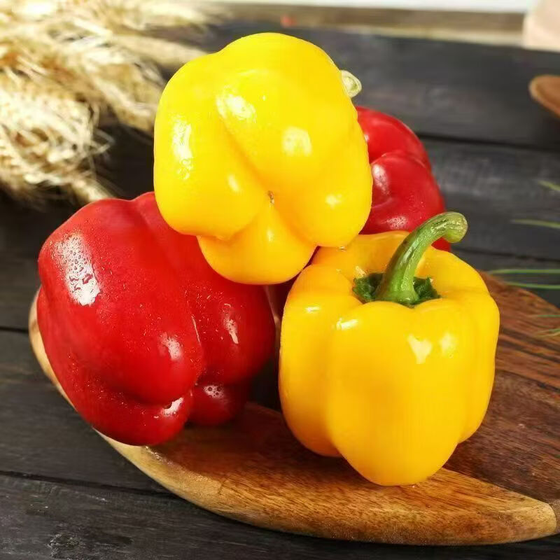 秦品堂山东寿光新鲜红黄双色彩椒灯笼椒五彩椒柿子椒沙拉菜蔬菜水果彩椒 寿光彩椒5斤