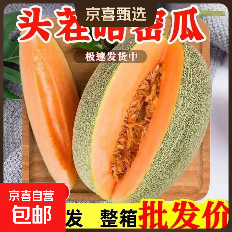 海南哈密瓜新鲜正宗沙地西州蜜25号网纹蜜瓜一箱当季水果 2-3斤1个瓜尝鲜装