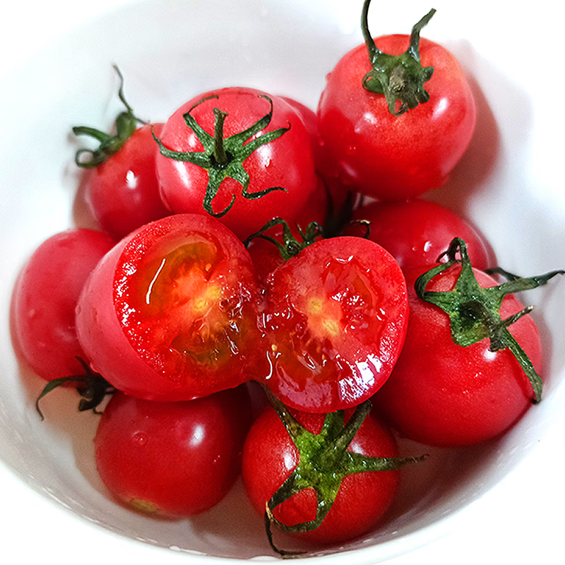 牛爱田圣女果小番茄新鲜采摘源产地发货 圣女果4.5斤装单果8g+