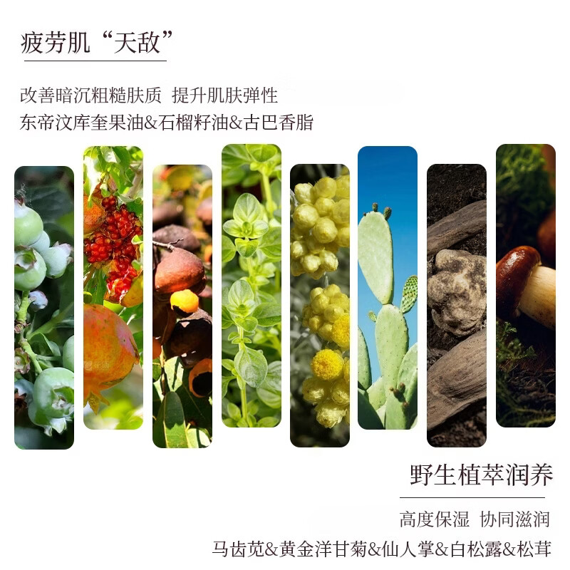 芳香世家黑玫瑰精油高端护肤系列 女士面霜补水保湿以油养肤 黑玫瑰抗皱赋能面霜抗皱紧致长效保湿50g