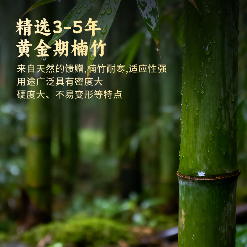 唐宗筷天然筷子竹筷无漆无蜡原生楠竹碳化不易发霉便携木筷公筷家用酒店 【马年福运红筒礼盒筷】天然原竹筷子-10双