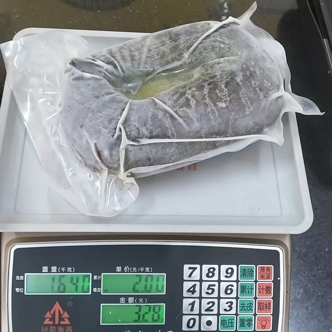 【顺丰冷链包邮】正宗海南直发野生大海鳗鱼新鲜活冻深海冷冻鱼类 每条 2.5 斤-3.03斤 /发 3 条【顺丰包邮】海南千年渔