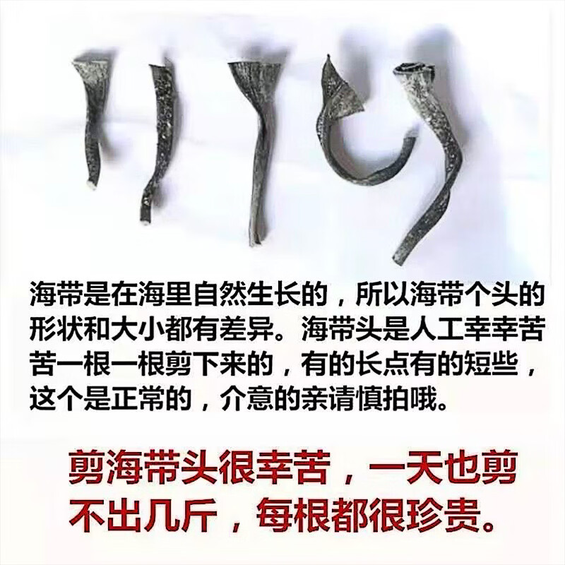 【短海带头】福建霞浦 日晒干货 特厚精品  特优食材 煲汤家用 250g 短海带头 日晒精品