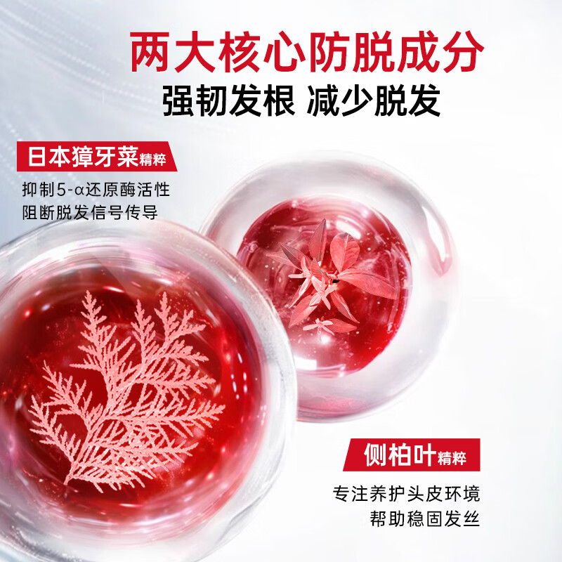 卡蓓诺（CABELO）丰盈润养防脱洗发水180ml强韧防脱夜间修护护发素【日本进口】 【防脱固发】强韧修护 洗发护发组合 180ml+180ml