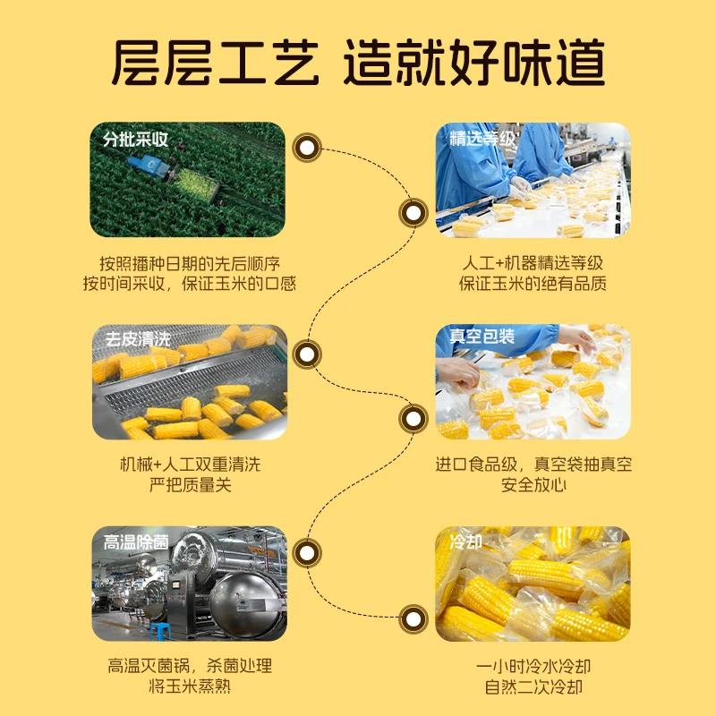 率鲜达黄糯玉米穗东北非转基因黏糯低脂送礼杂粮真空包装4.2斤8穗装 【加量升级黄金14厘米】2200g*1箱