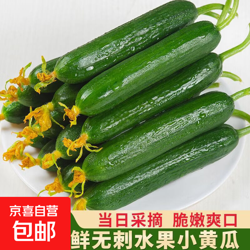 新鲜水果小黄瓜净重 5斤 到手19.9亓包邮！折3.9/斤 清爽刮油现摘现发蔬菜！ - 线报酷