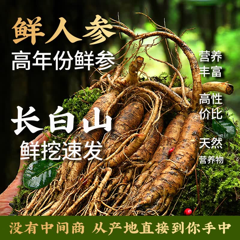 裕佗堂长白山人参5年以上鲜人参滋补营养品送长辈泡酒煲汤礼品 100g*1包