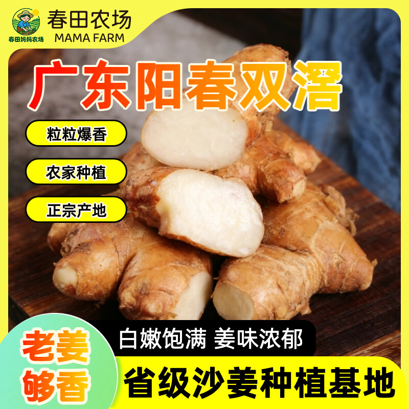 【沙姜之乡】广东特产正宗阳春双滘新鲜沙姜调味提鲜增香双窖山奈 广东省级沙姜种植基地甄选 【1斤尝鲜装】姜味浓郁，来自深山老林