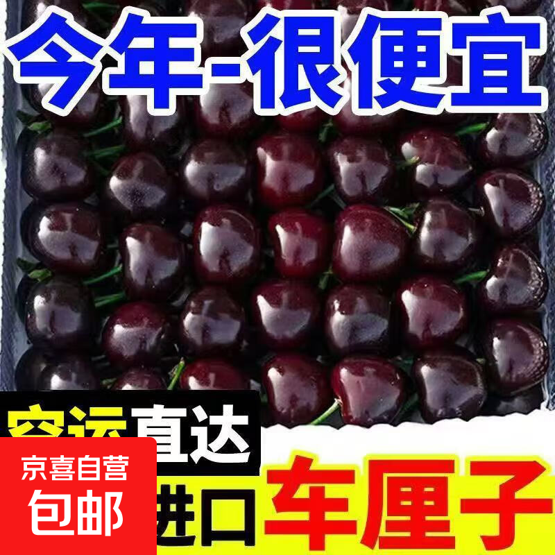【现货】智利车厘子XL-4J新鲜大果超大车厘子进口樱桃水果礼盒 100g(净重) 尝鲜 超级巨无霸4J 单果32-34mm