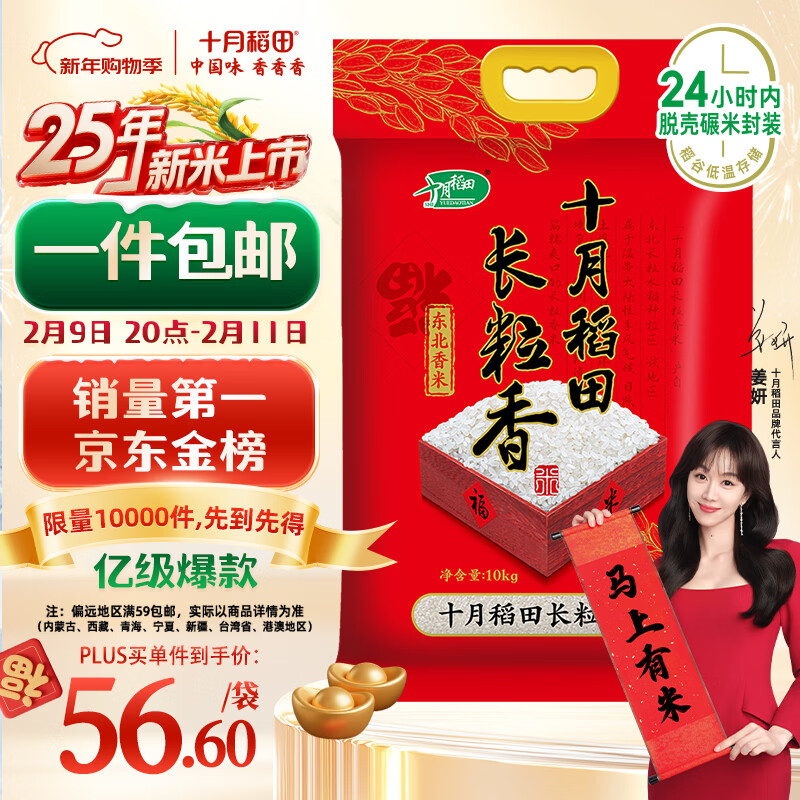 十月稻田 2025年新米 长粒香大米 20斤（东北大米 香米 10公斤）