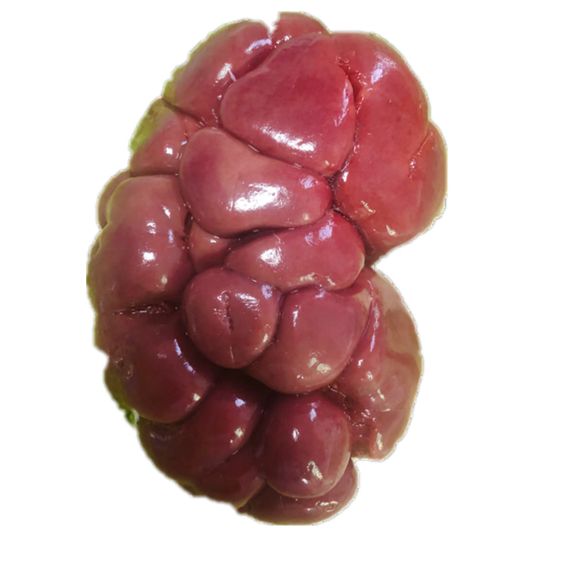 果亦橙新鲜去油牛腰子食用 牛红腰 牛肾 黄牛内腰牛腰花烧烤火锅食材