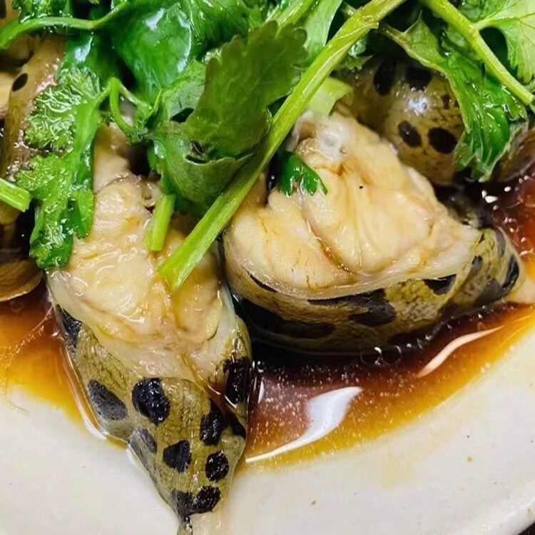 【顺丰冷链包邮】正宗海南直发野生大海鳗鱼新鲜活冻深海冷冻鱼类 每条 2.5 斤-3.03斤 /发 3 条【顺丰包邮】海南千年渔