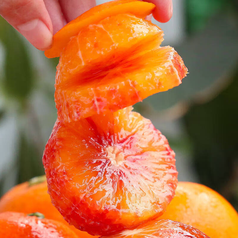 闽域寻鲜四川塔罗科血橙 现摘红血橙新鲜水果红心橙子年货整箱送礼 带箱5斤丨单果70-80mm丨净4.5斤 大小适中狠推荐