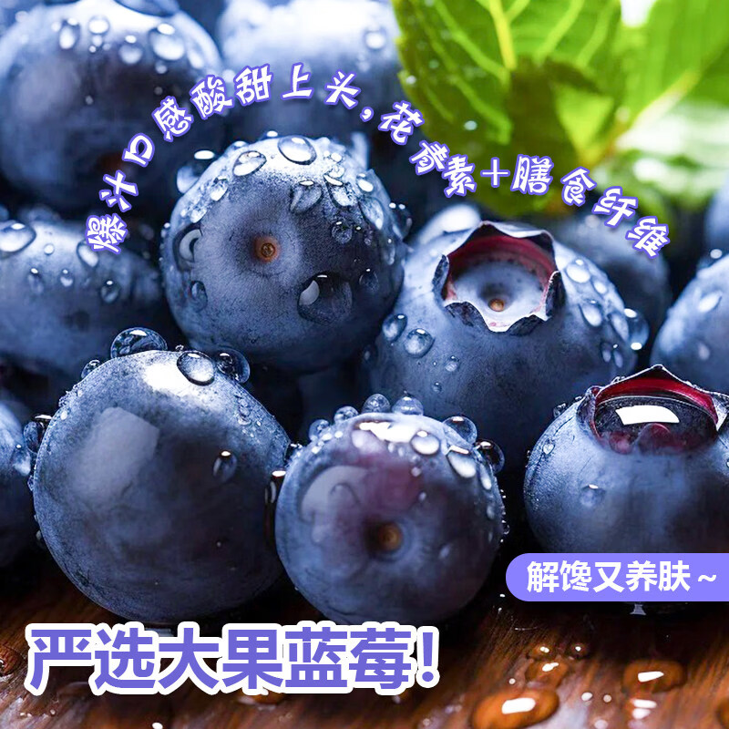 鲜宝道云南高山新鲜蓝莓鲜水果【JD-多地次日达】 云南蓝莓12+（100g/盒）*2盒