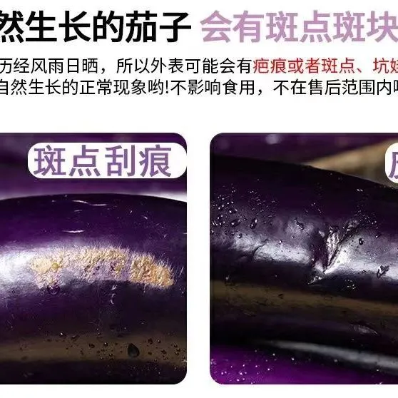 优选老式茄子紫裤紫库新鲜农家蔬菜自种现摘现发可生吃烧烤茄糯茄 带箱9-9.01斤