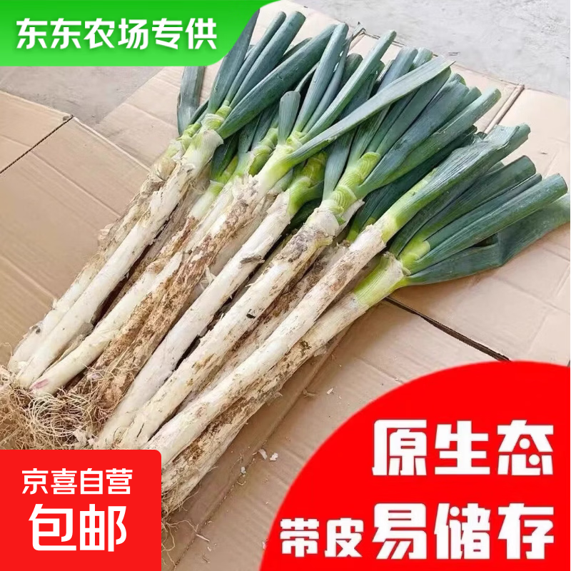 【东东农场专供】新鲜当季大葱现挖现发脆嫩多汁原汁原味绿色蔬菜 带老皮去半叶含箱重1斤