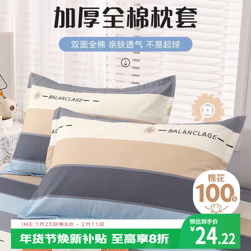 艾薇 A类枕头套纯棉家用全棉单人枕套一对枕芯套 罗马时代 48*74cm