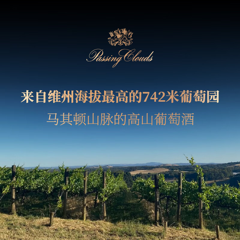PASSING CLOUDS澳洲浮云酒庄原瓶进口高端红酒小天使 赤霞珠干红葡萄酒红酒干红 小天使750ml*2瓶【礼赠装】