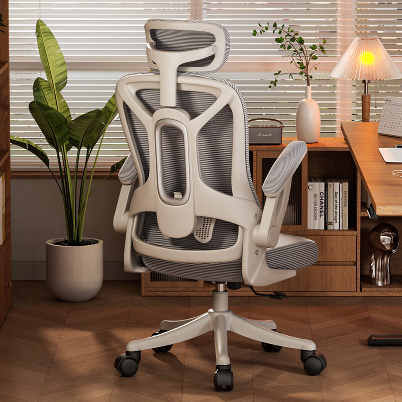 ��껵����μ������Ӱ칫��ѧ��ѧϰ�������ʾ���͸�� �ҿ���� 179.1Ԫ