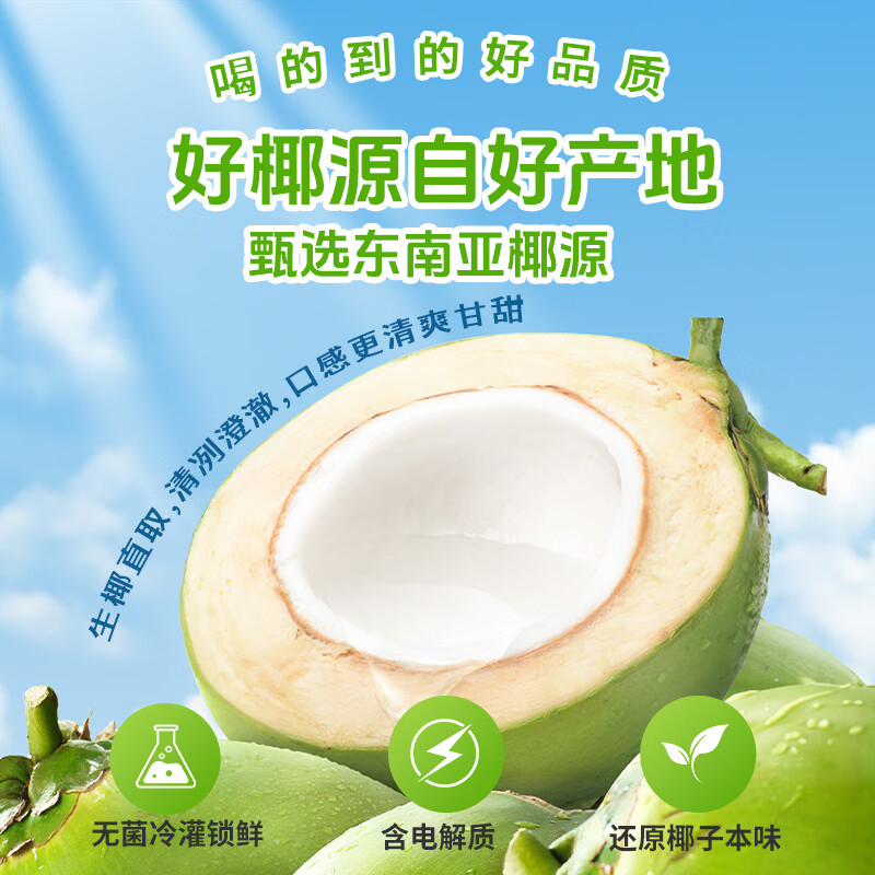 轻上100%椰子水无添加剂天然电解质水椰青水年货饮料儿童孕妇适喝 轻上椰子水220ml*12瓶