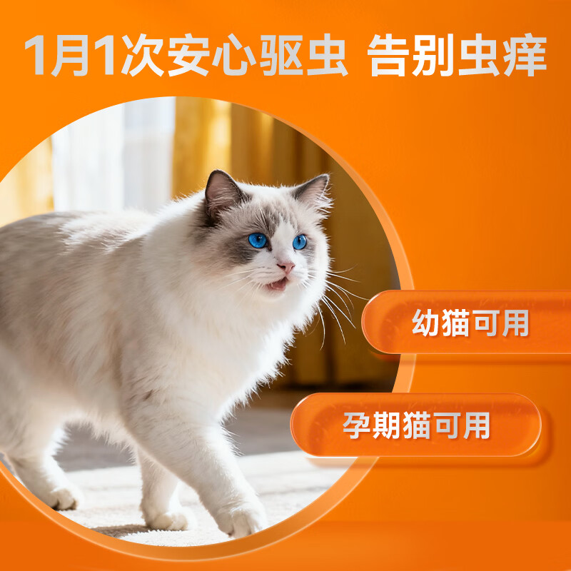 普安特猫咪狗狗驱虫药体内外驱虫幼猫幼犬蜱虫跳蚤虫卵复方非泼罗尼滴剂 爱滴恩外驱 0.5ml*3支 丨猫用