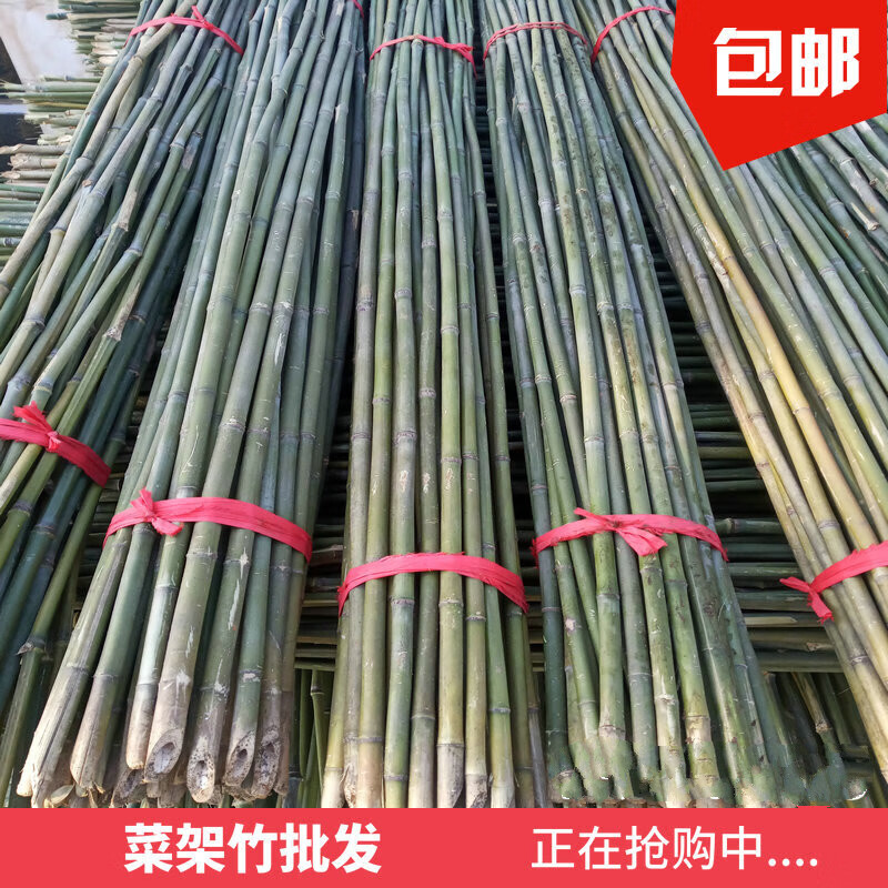 5厘米粗2米长50根 豆角架