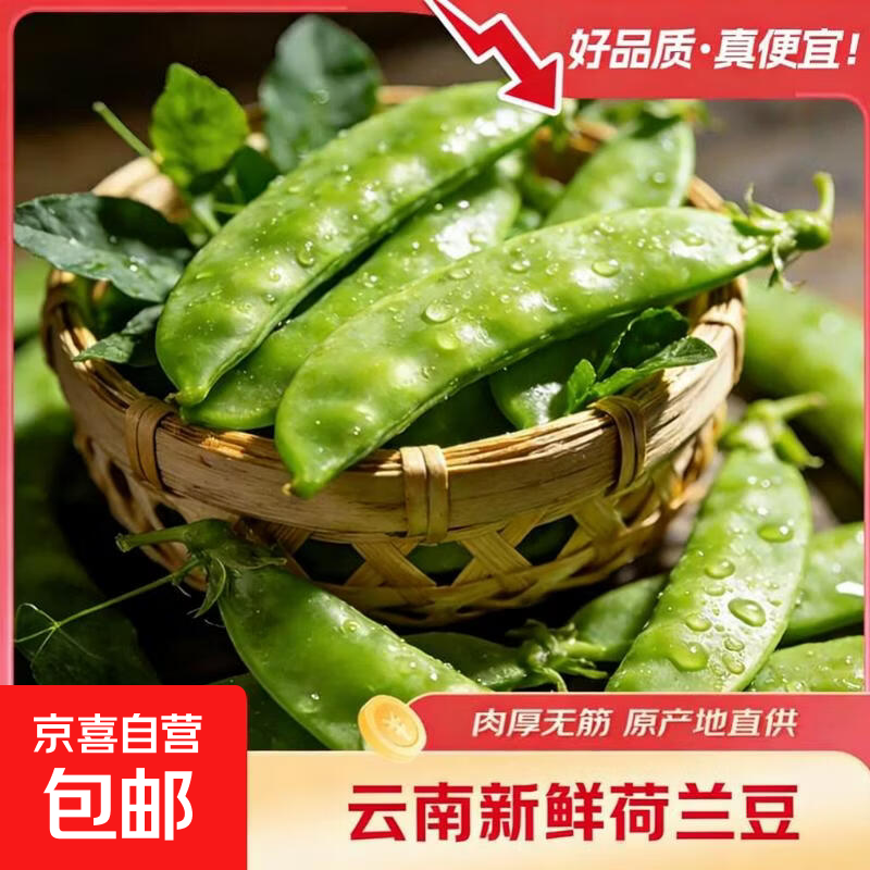 云南新鲜现摘蔬菜豌豆角甜脆荷兰豆四季豆当季农家自种蔬菜脆嫩 荷兰豆1斤带箱净重0.8斤