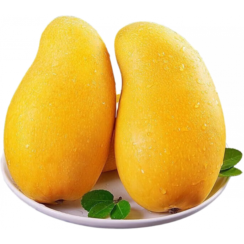 ���� ���Ͻ��â ˮ��â�� ��ѡװ 5����� ����200-250g ��4.5�� 15.9Ԫ