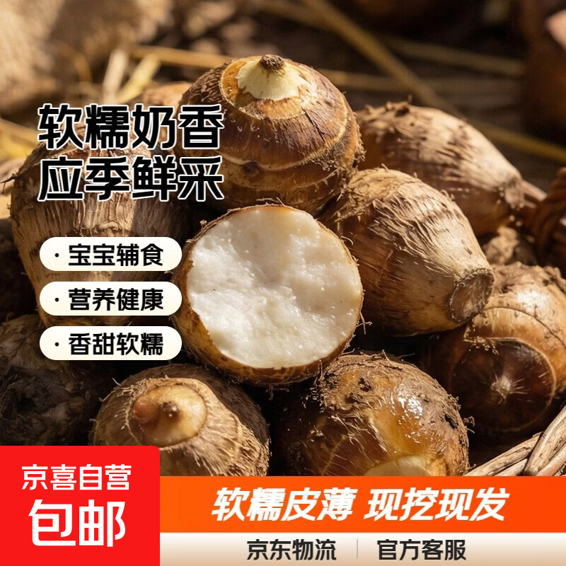 山东牛奶芋头软糯来京东蔬菜应季蔬果香芋芋头小果20g-40g 牛奶小芋头1000g