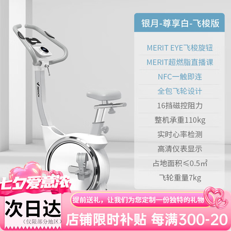 麦瑞克银月silver动感单车家用超静音磁控自行车女器材MR-636 尊享白-飞梭版 16档