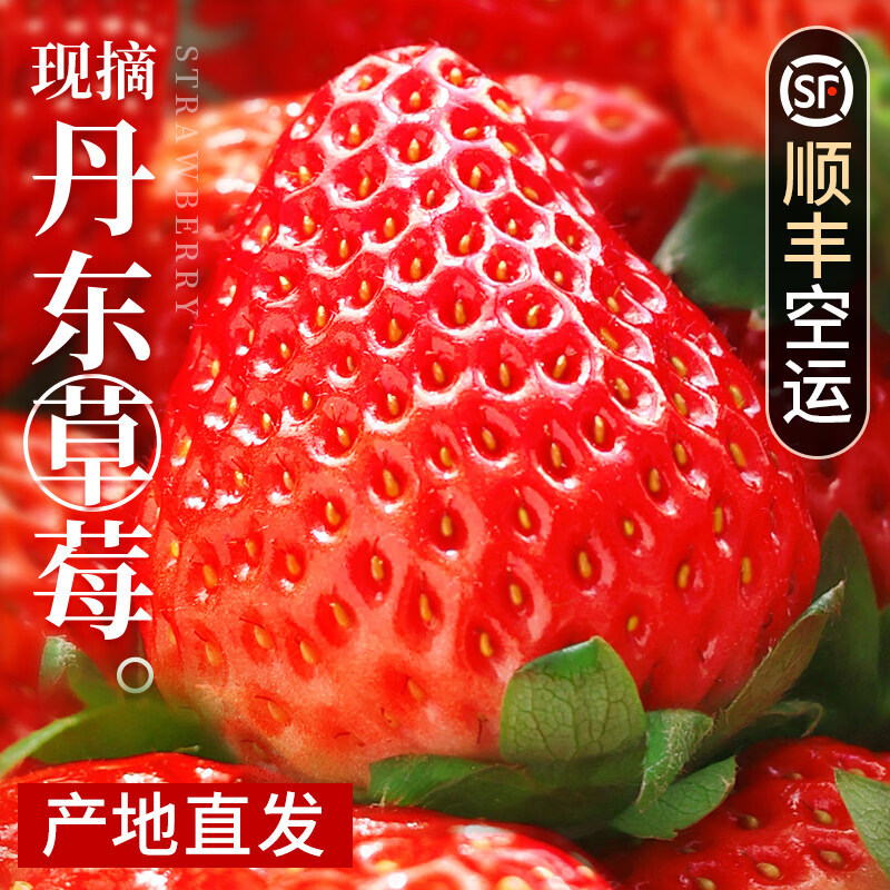 草莓大果丹东99草莓新鲜水果应当季红颜奶油现货九九牛奶大整 500g 中小果(单果20-25g)