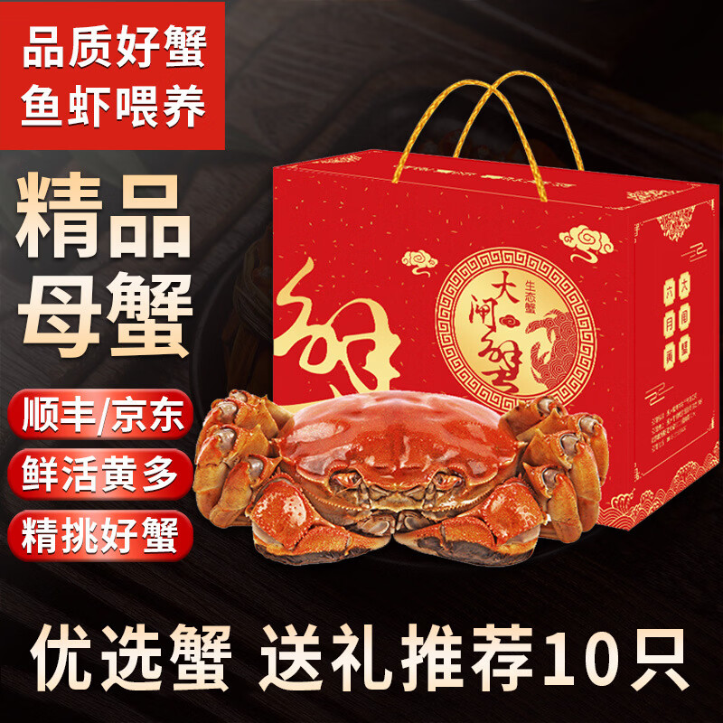 大闸蟹10只全母【活蟹】鲜活大闸蟹全母大螃蟹含绳现货中秋送礼盒 全母优选蟹【送礼推荐10只】
