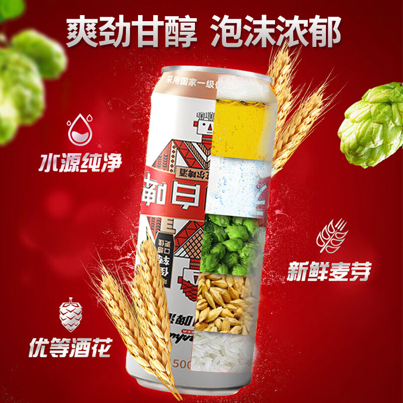 天湖啤酒9度精酿白啤浑浊型小麦艾尔啤酒口感醇正东北抚顺特产啤酒 500ml*12罐