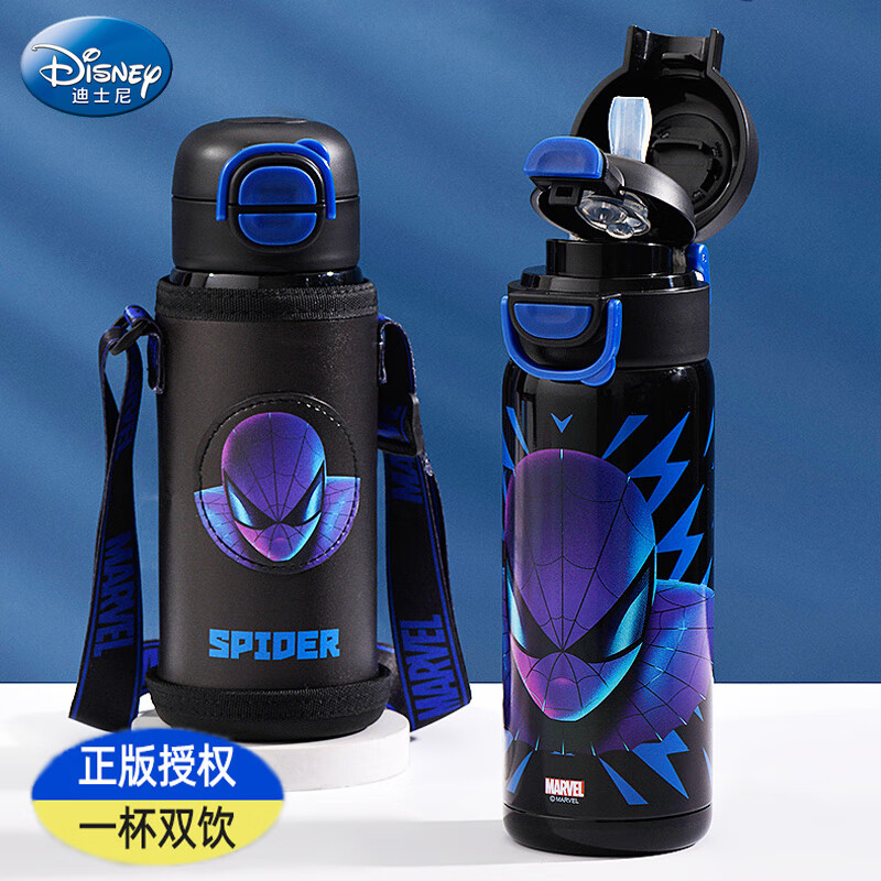 迪士尼（Disney）儿童保温杯吸管水杯男孩316不锈钢小学生上学专用幼儿园直饮水壶
