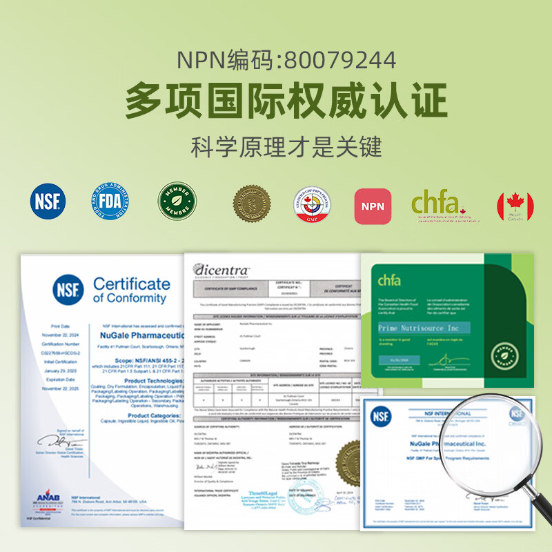 Dr. Bethune's Choice白求恩医生之选 成人中老年益生菌胶囊600亿活菌 肠道菌群平衡  益生菌胶囊 60粒*1瓶