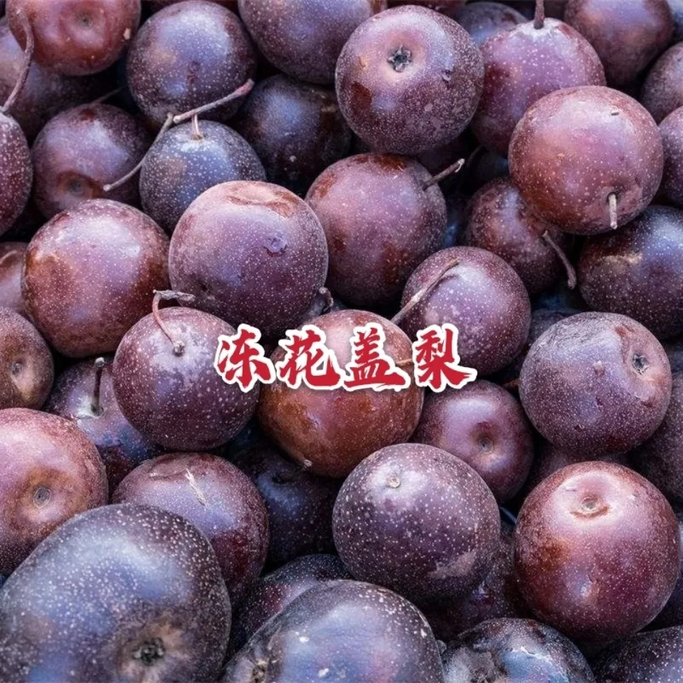 东北特产冻秋梨冻花盖梨冻酸梨冻梨冻水果东北黑冻梨包邮坏果包赔 5斤 京东折扣/优惠券