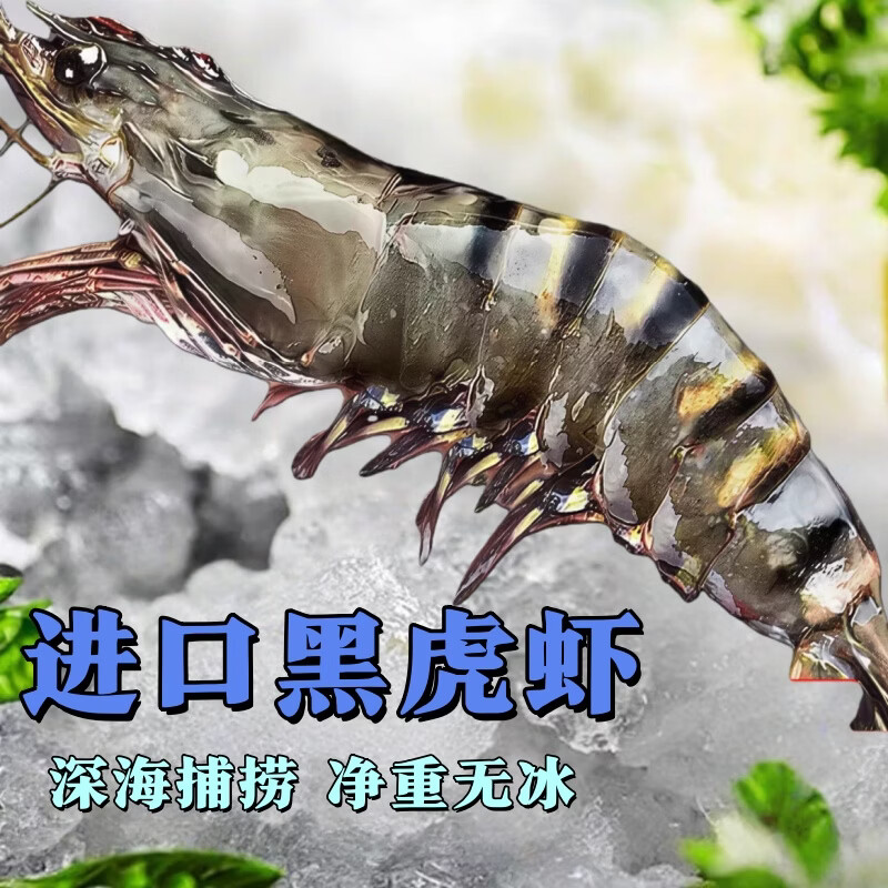 翰鸥斐进口高品质活冻气冻黑虎虾 超大虾类大虾生鲜老虎虾冰鲜海虾礼盒 超大黑虎虾王【3只共2斤】 1000g(净重) 京东折扣/优惠券