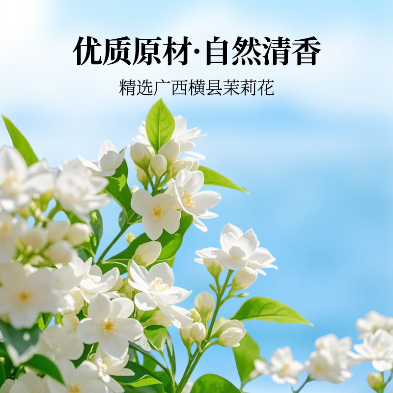 百多利茉莉花茶茶饮料900ml*12瓶以花入茶茶引花香原茶萃取 茉莉花茶茶饮料900ml*12瓶/箱
