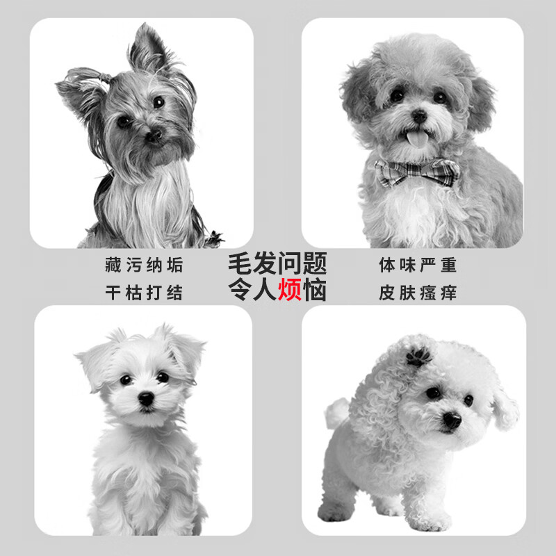 MULMUL狗狗专用沐浴露护毛素宠物用品 比熊泰迪抑菌除臭留香洗澡液浴液 洗护搭配更柔顺有光泽五瓶装（3瓶沐浴露+2瓶护毛素）