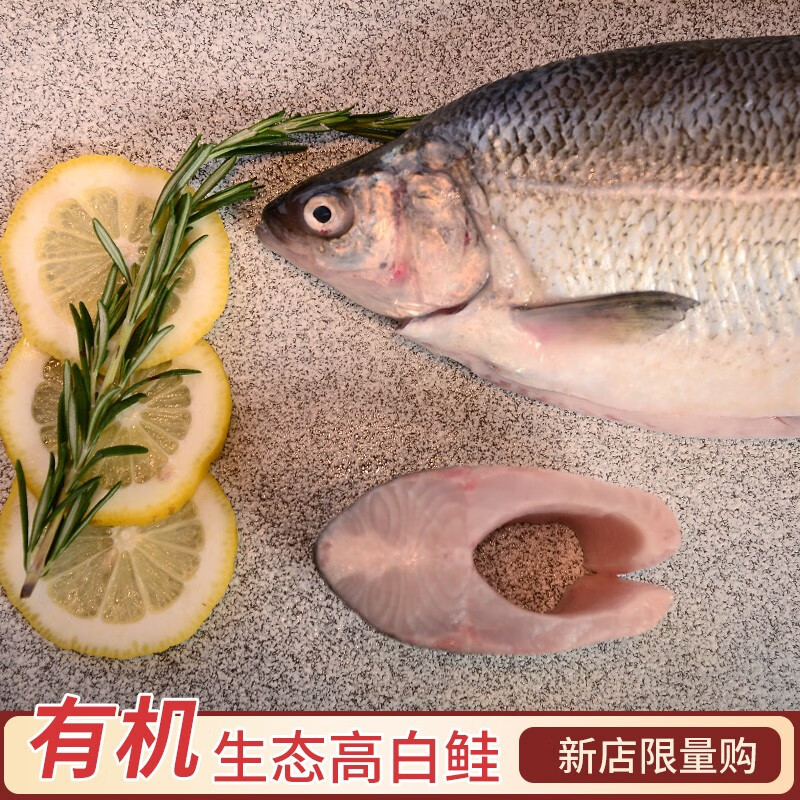 赛湖 新疆赛里木湖有机高白鲑鱼整条鱼 新鲜生鱼片高档刺身 两条装