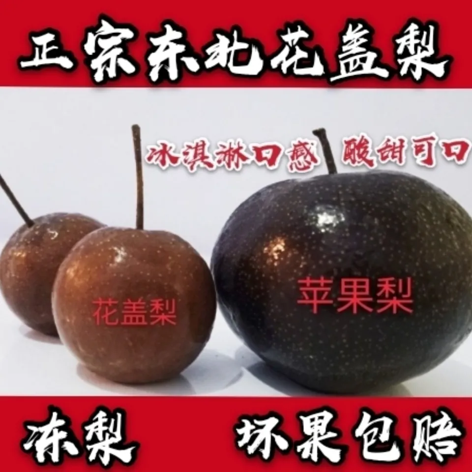 东北特产冻秋梨冻花盖梨冻酸梨冻梨冻水果东北黑冻梨包邮坏果包赔 5斤