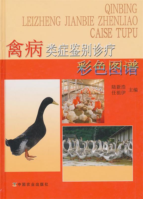 禽病类症鉴别诊疗彩色图谱 陆新浩,任祖伊