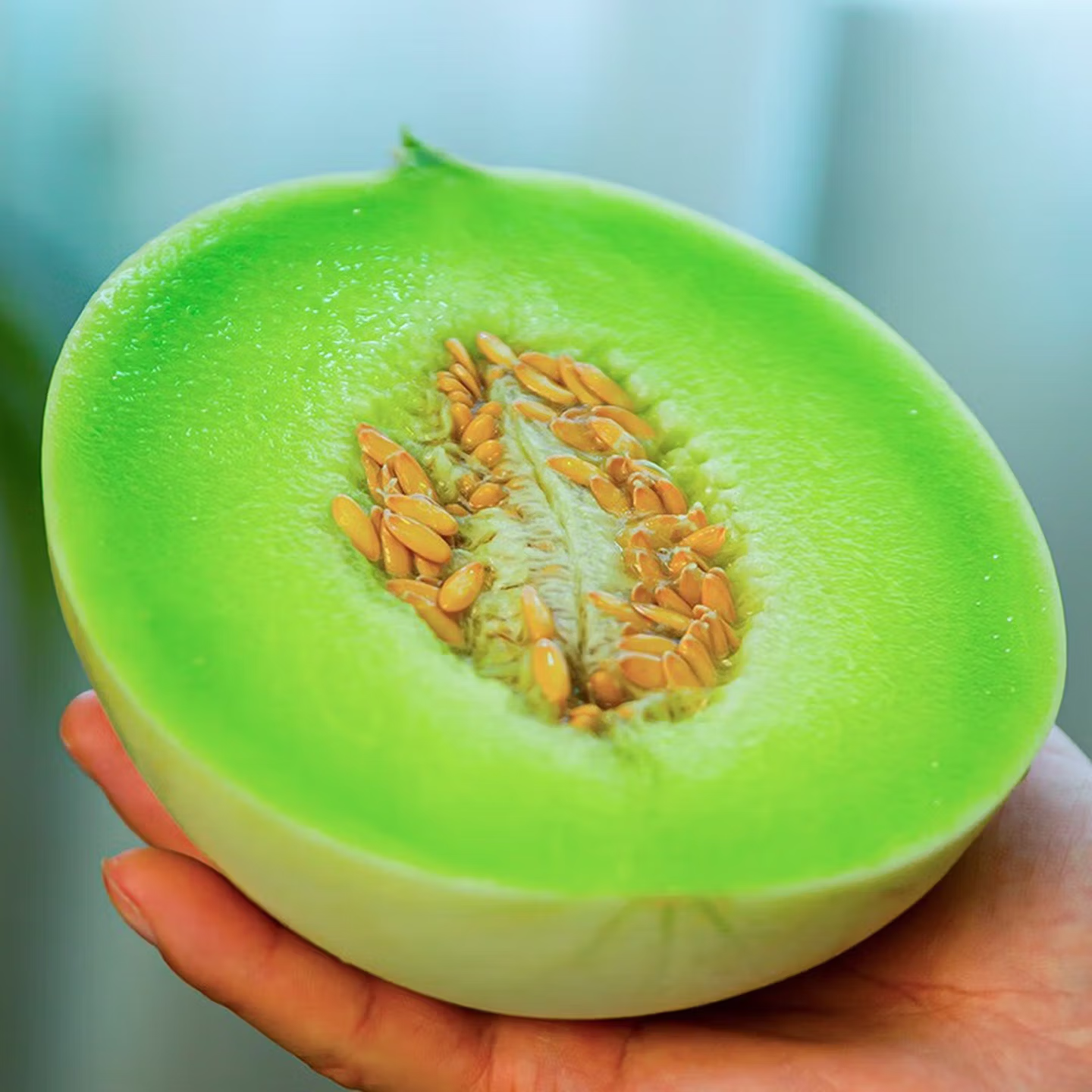 季节集冰淇淋玉菇甜瓜奶香蜜新鲜水果当季冰淇淋脆甜香瓜孕妇A 净重4.5-5斤丨2-3个【冰淇淋口感】