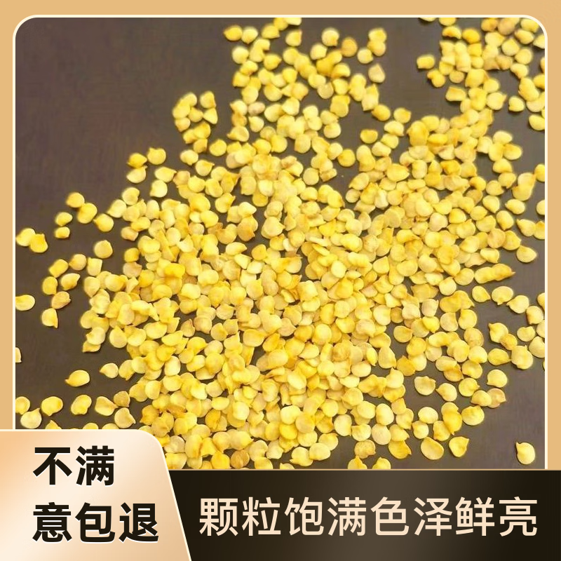 不辣精品食用辣椒籽颗粒饱满色泽鲜亮微辣中辣香辣高辣特辣辣椒籽 1500g 【高辣】食用精选